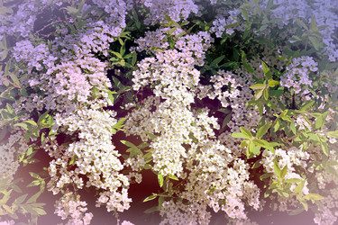 Similar image 21337982