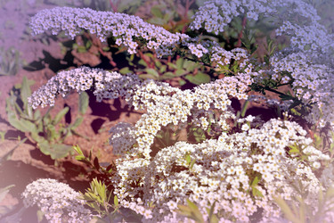 Similar image 21337984