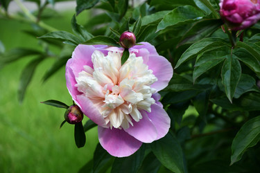 Similar image 21337985