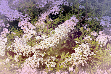 Similar image 21337987