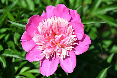 Similar image 21337988