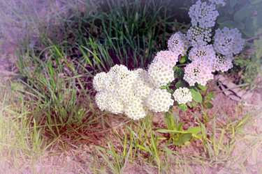 Similar image 21337991