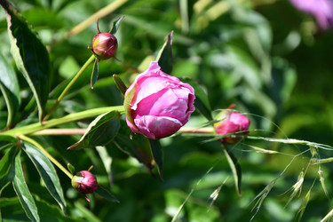 Similar image 21337992