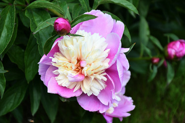 Similar image 21337994