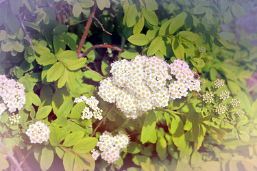 Similar image 21337995