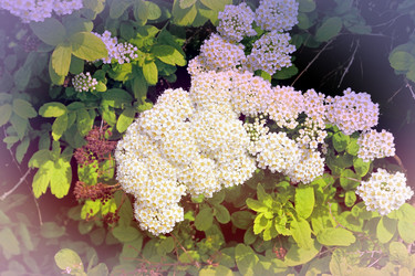 Similar image 21337997