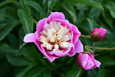 Similar image 21337998