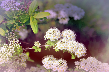 Similar image 21337999