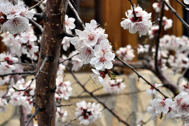 Similar image 21338004