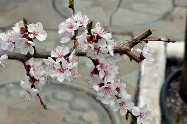 Similar image 21338006