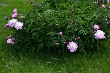 Similar image 21338007