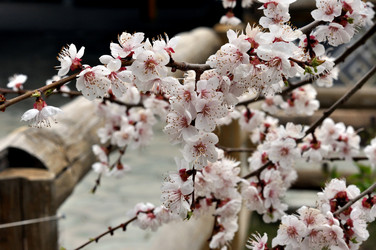 Similar image 21338018