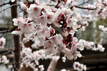 Similar image 21338020