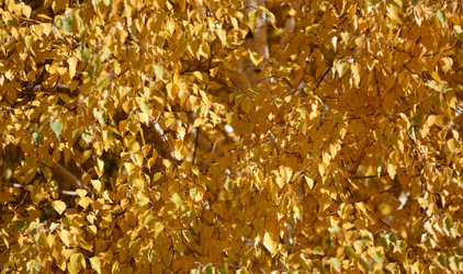 Similar image 21337367