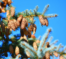 Similar image 21337372