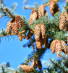 Similar image 21337378