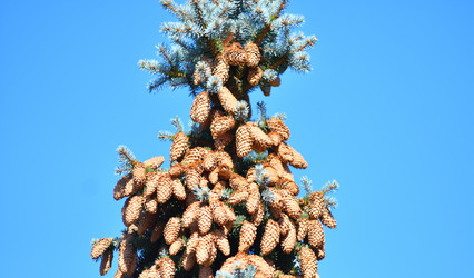 Similar image 21337382