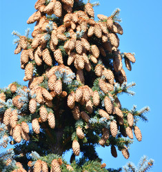 Similar image 21337384