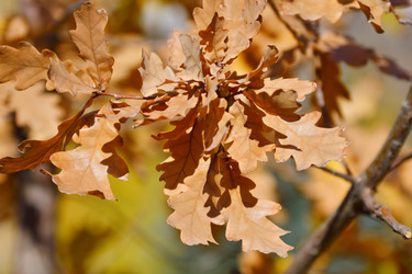 Similar image 21337385