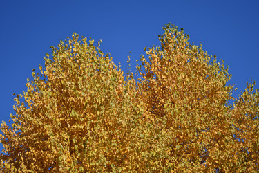 Similar image 21337388