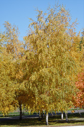 Similar image 21337393