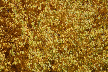 Similar image 21337394