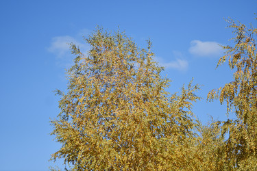 Similar image 21337409