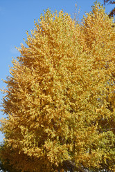 Similar image 21337410