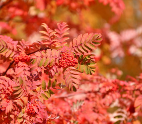 Similar image 21337411