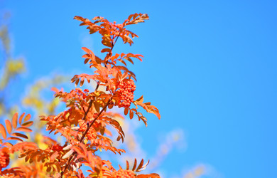 Similar image 21337413