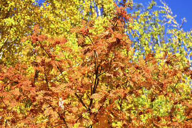 Similar image 21338022