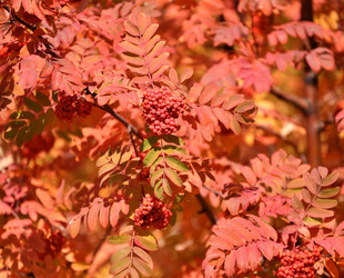 Similar image 21338024