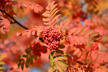 Similar image 21338030