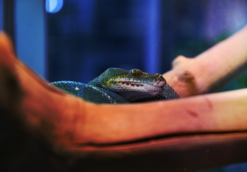 Similar image 21337268