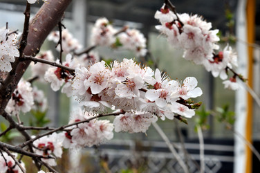 Similar image 21337270