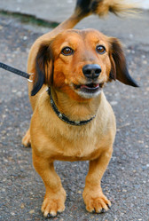 Similar image 21337271