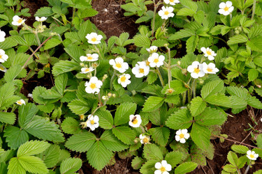 Similar image 21337272