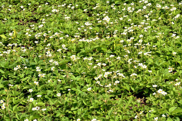 Similar image 21337276