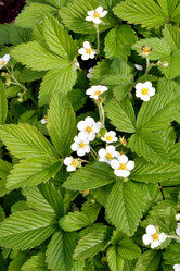 Similar image 21337280