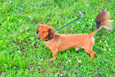 Similar image 21337281