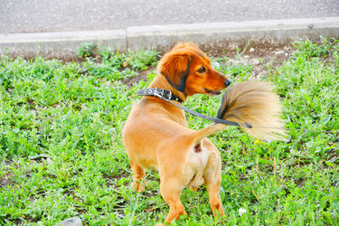 Similar image 21337283