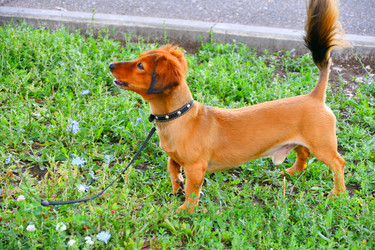 Similar image 21337285