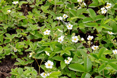 Similar image 21337289