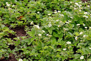 Similar image 21337291