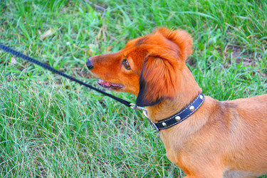 Similar image 21337326