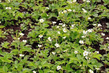 Similar image 21337327