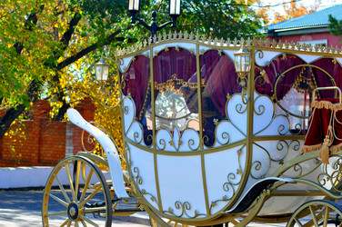 Similar image 21337334