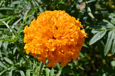 Similar image 21337339