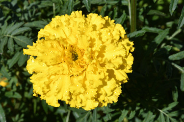 Similar image 21337341