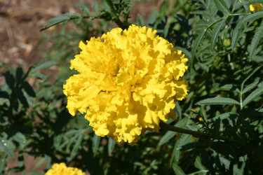 Similar image 21337349